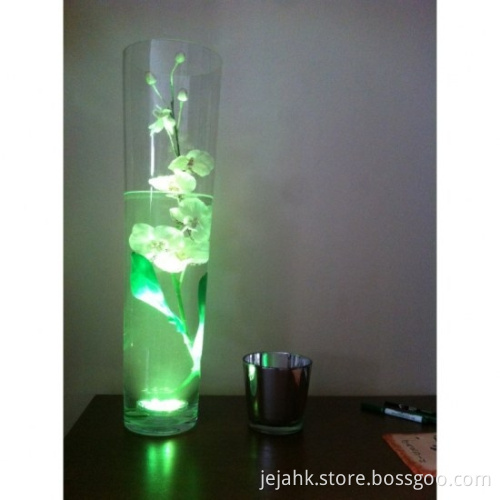 10-LED devices colored battery poerated led light, version JEJAHK_LD210_V4.0